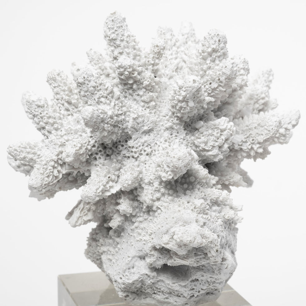Mercana - Isla Object in White, Resin