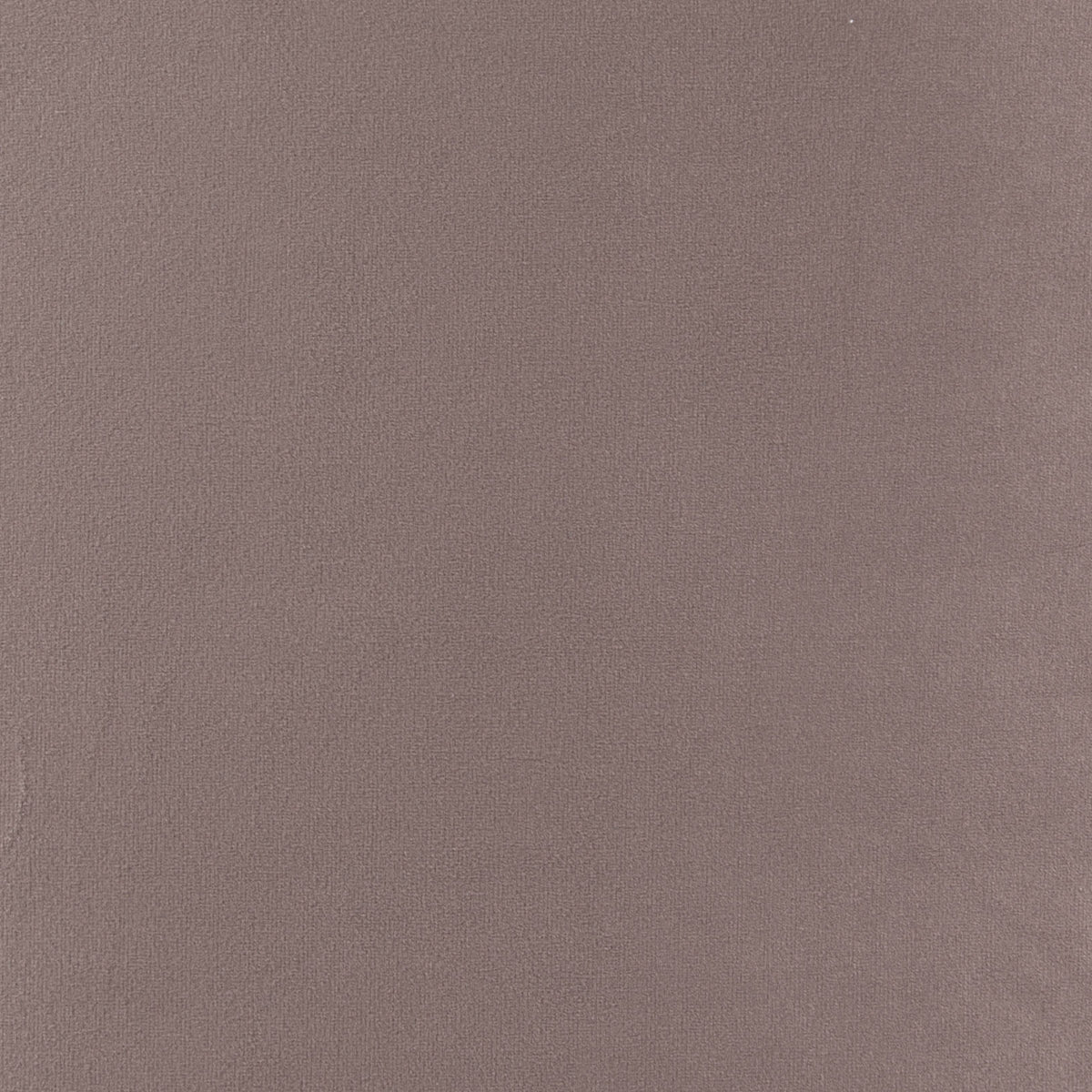 ZUO - Bintulu Loveseat in Taupe