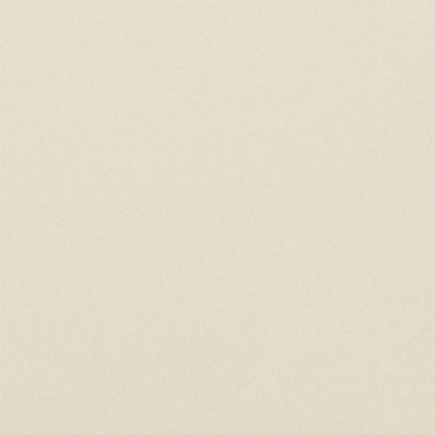 ZUO - Coral Reef Accent Chair in Gray