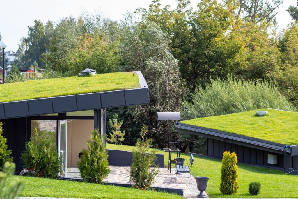 Modern Green Roof