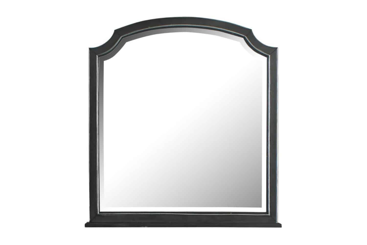 ACME™ - House Beatrice Mirror in Charcoal Finish