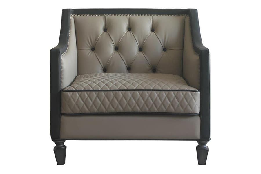 ACME™ - House Beatrice Chair with 1 Pillow