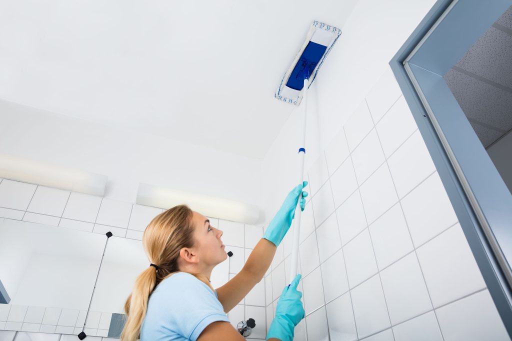 Bathroom Cleaning Ceiling White