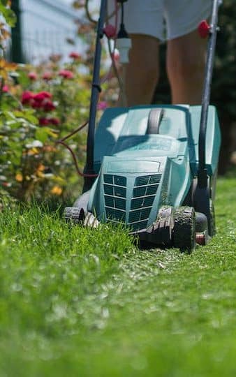 Lawn Mower Electric Close Up