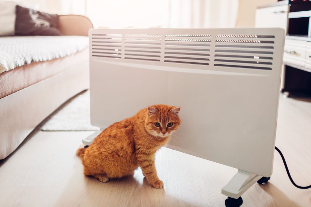 Compact Home Convectors Heaters Hall Cat