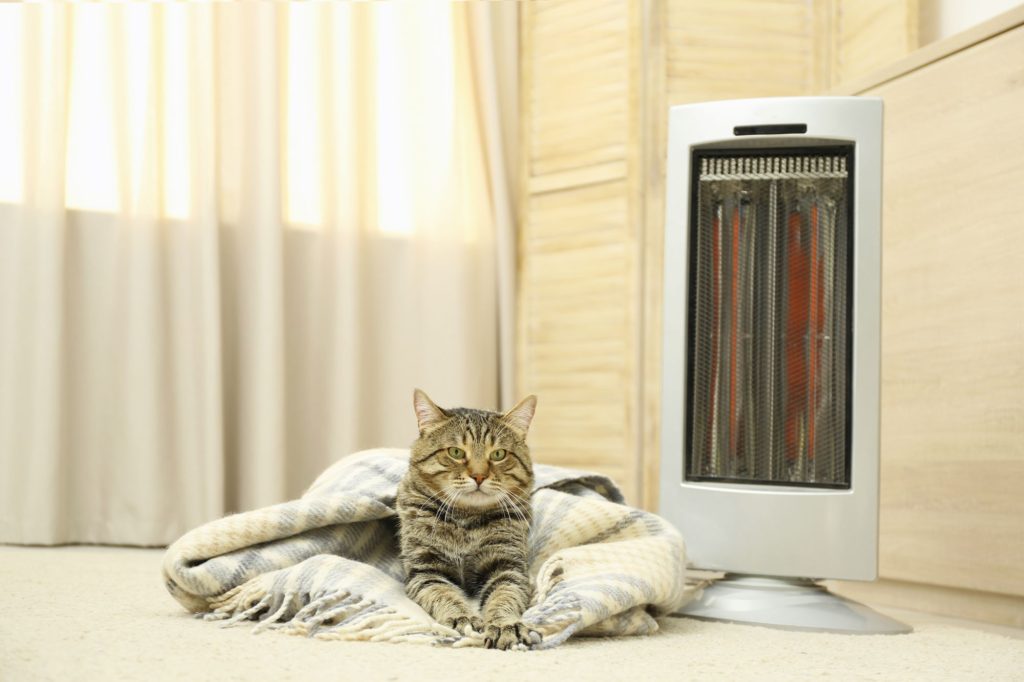 Compact Home Infrared Heaters Cat Floor