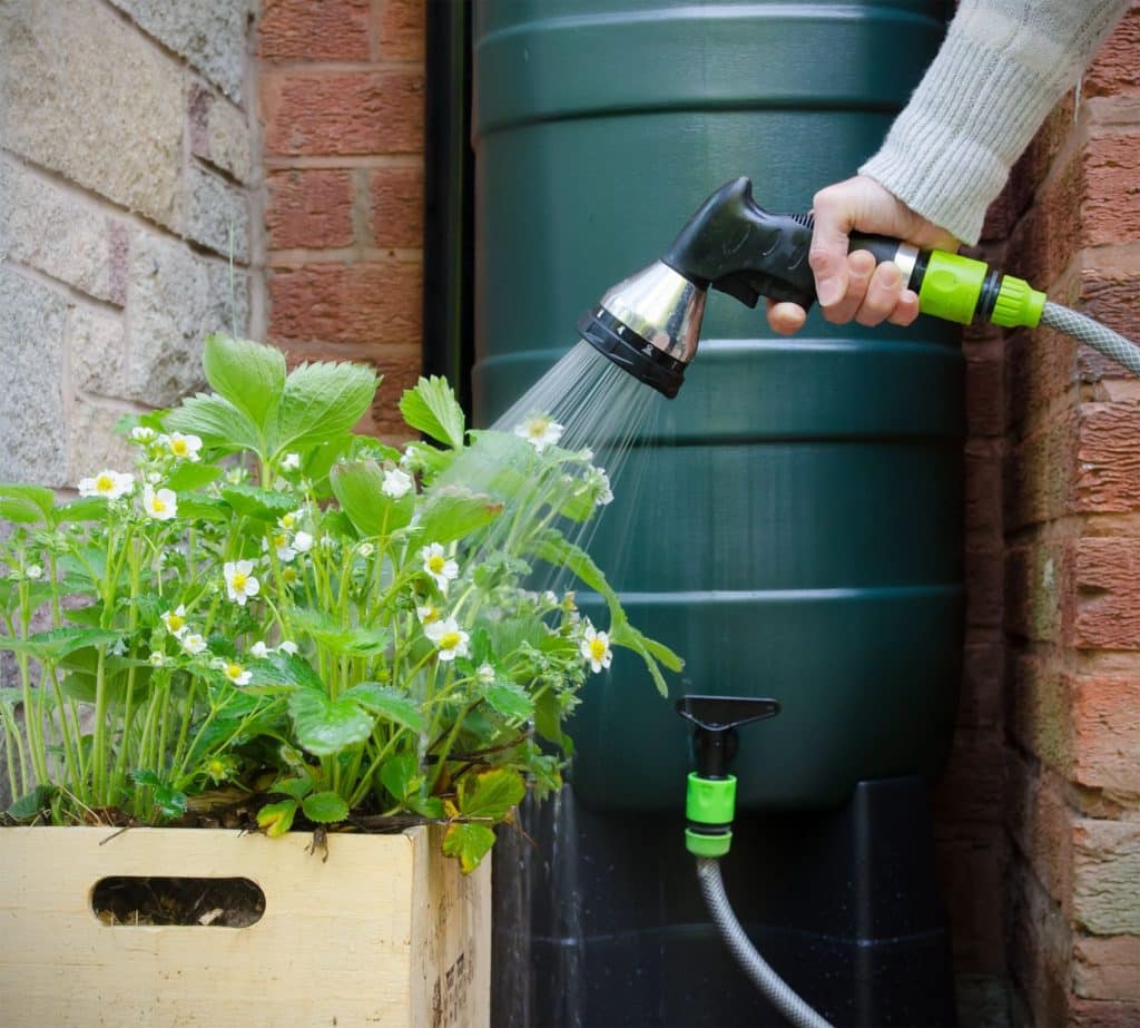 Container For Irrigation Water