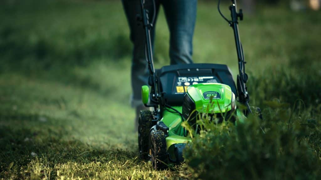 Lawn Mower In Use