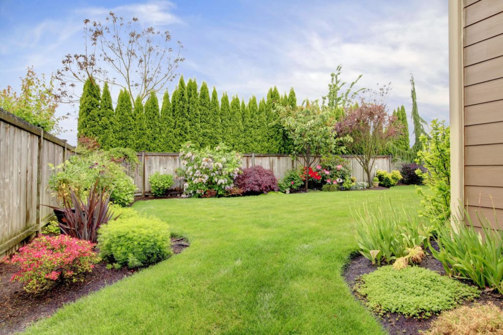 Decoration With Flowers Backyard Garden