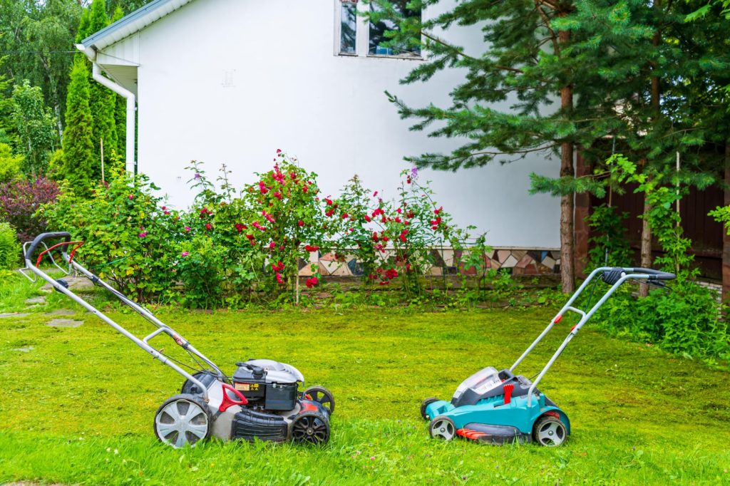 Electric And Gasoline Lawnmowers Garden