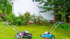 Electric And Gasoline Lawnmowers Garden