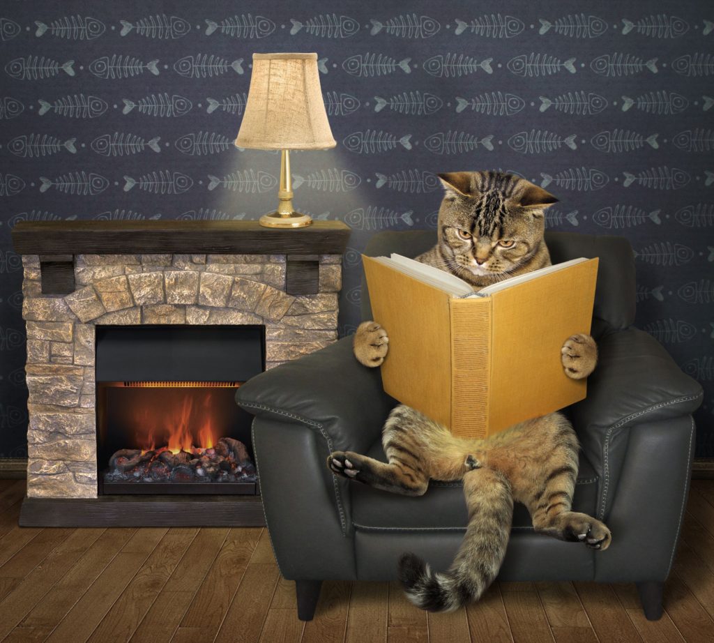 Electric Fireplaces Home Heaters Cat Book Lamp