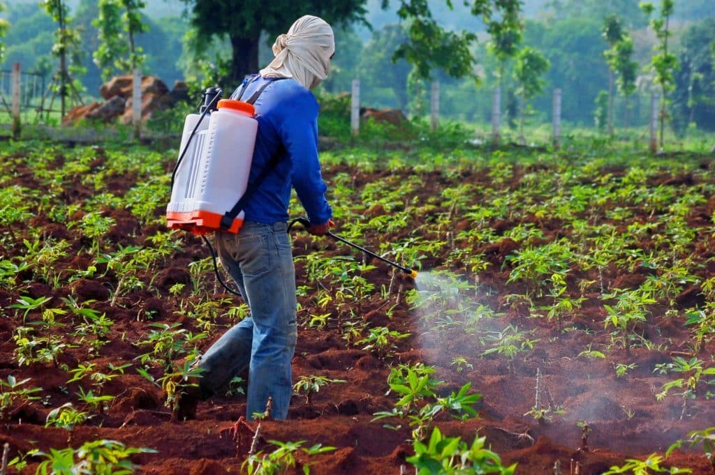 Fertilizer Of Plants Man