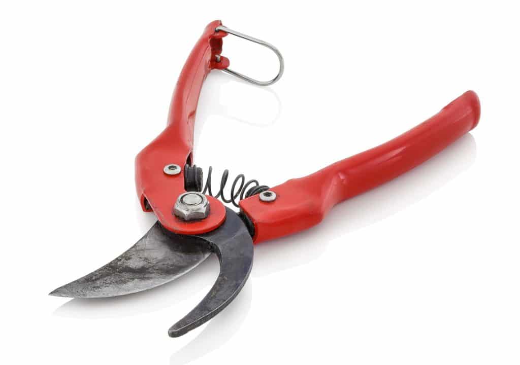 Garden Pruner Red