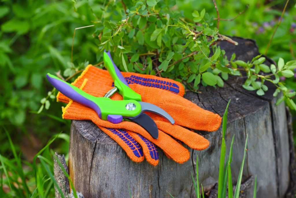 Gloves For Garden Orange