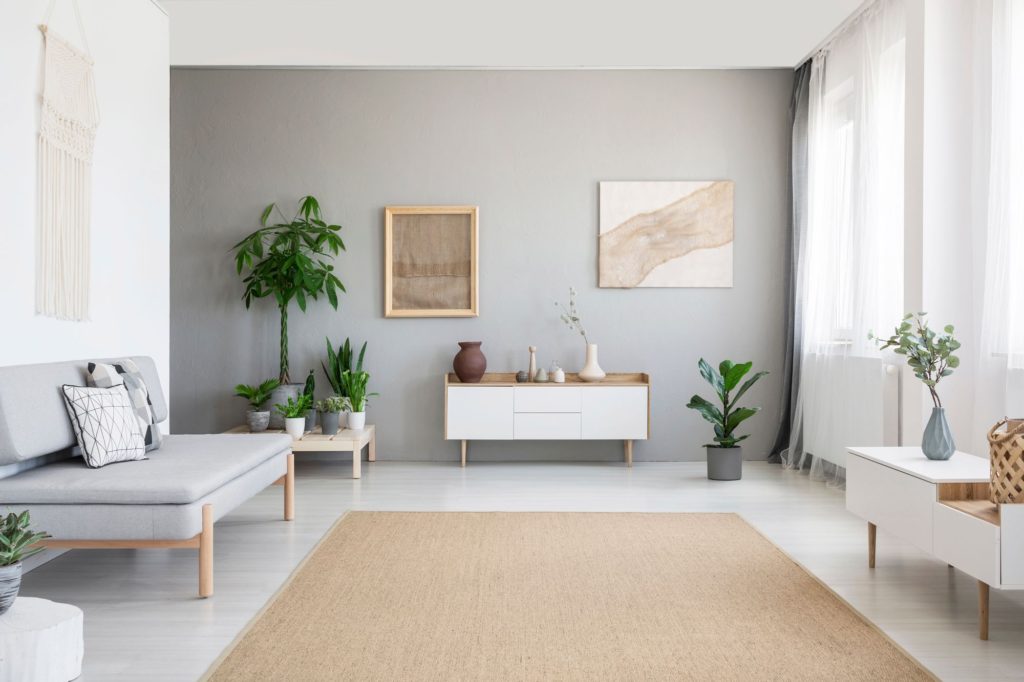Home Interior Styles Minimalism White