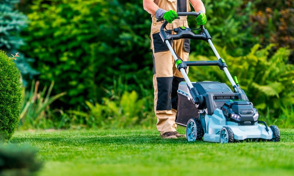 Lawn Mower Cutting Grass