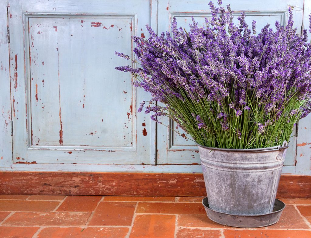 Modern Accessories For Provence Interiors Violet Flowers