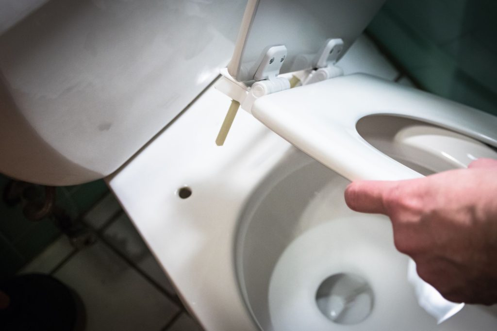 Replace The Toilet Lid Plastic Bolt