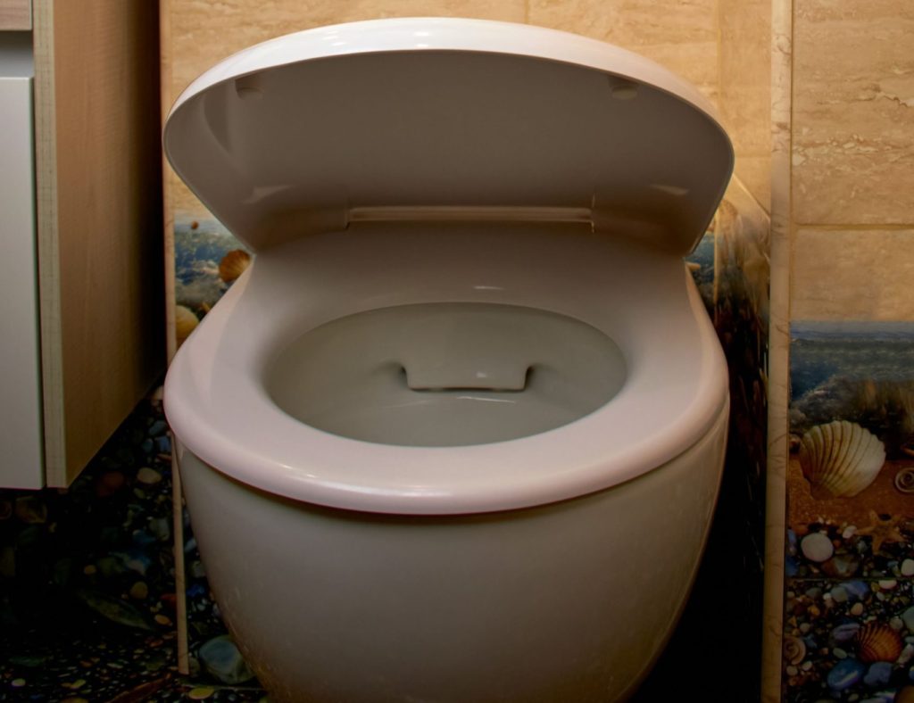 Replace The Toilet Lid with Microlift
