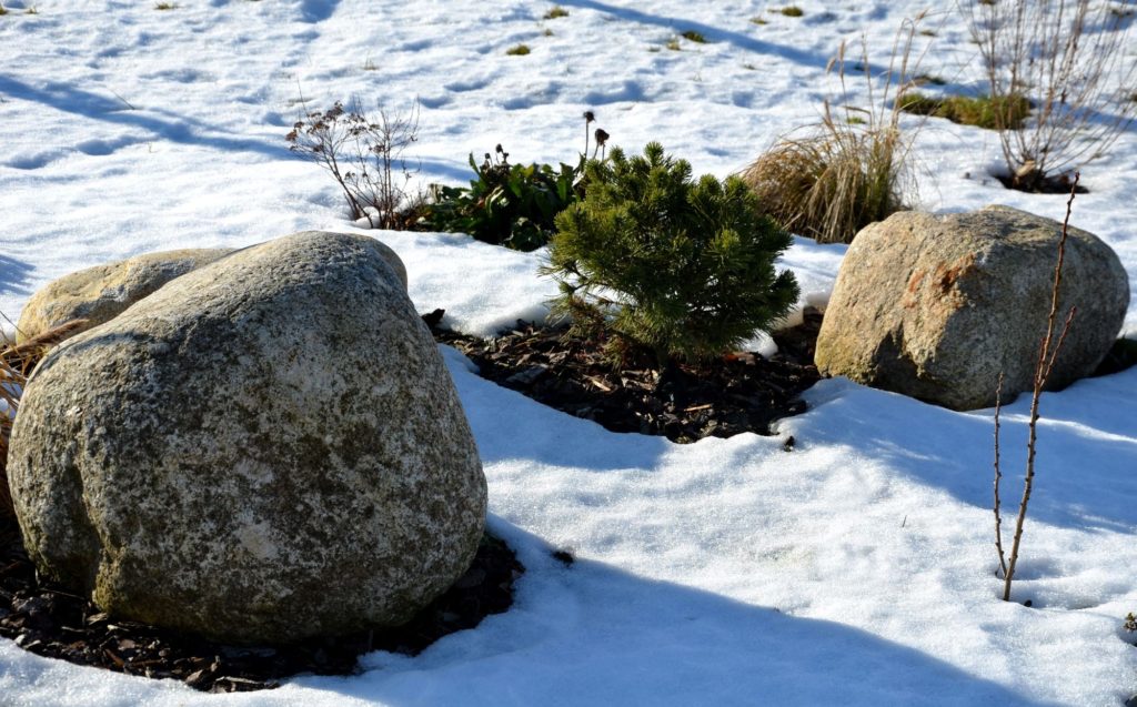 Stones In Snow Green