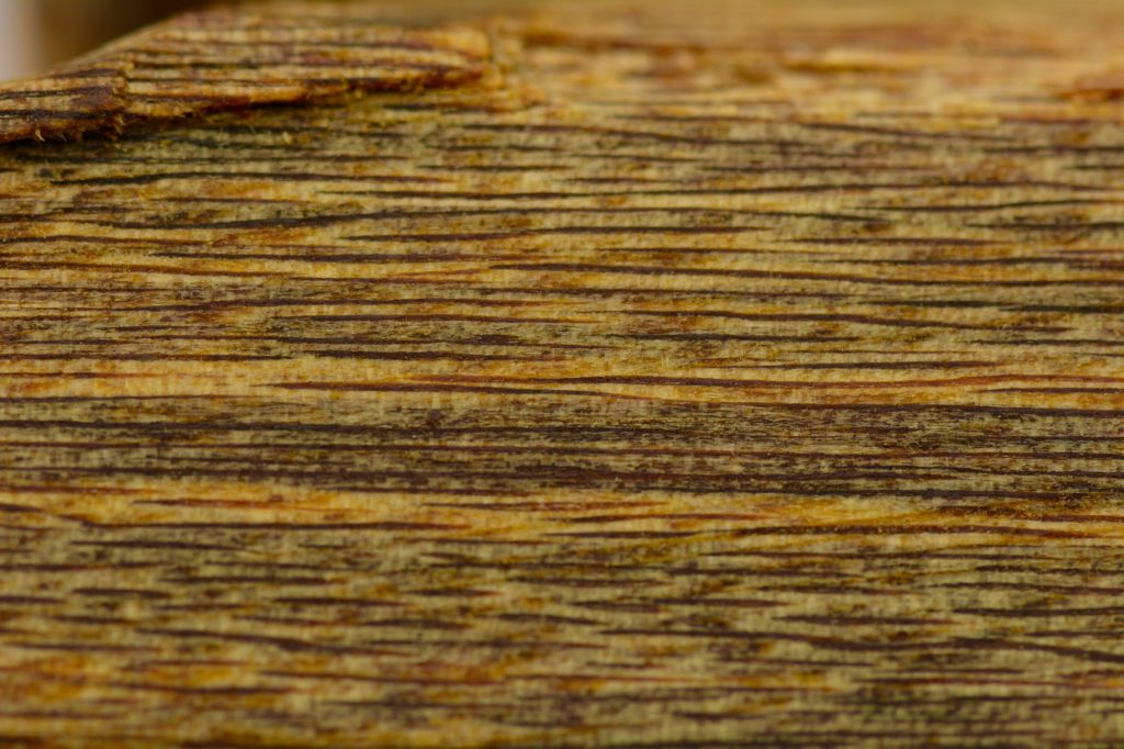 Types Of Wood Agarwood Tree Medicine