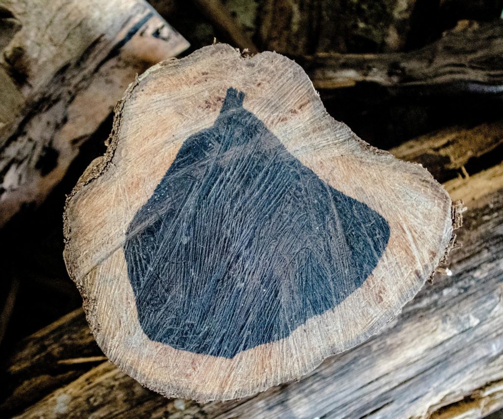 Types Of Wood Ebony Tree Slice