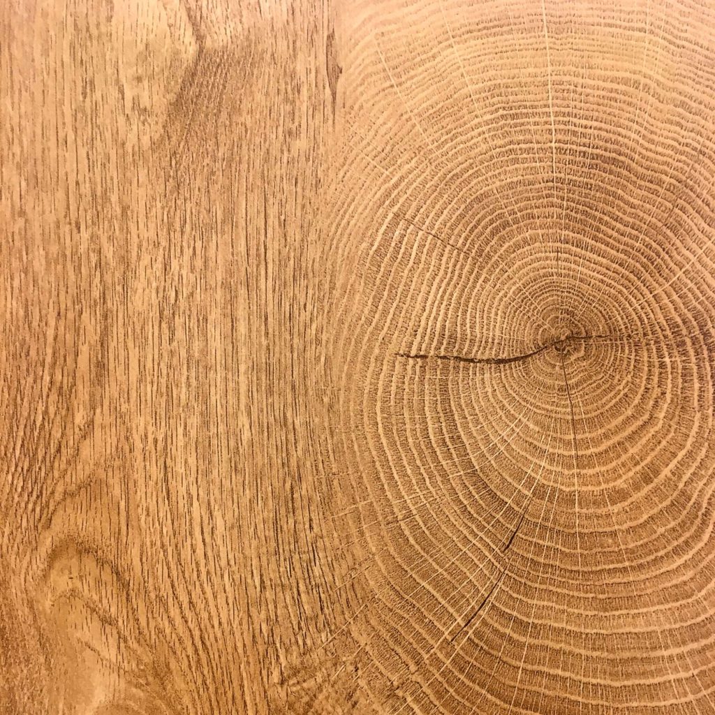 Types Of Wood Oak Slice