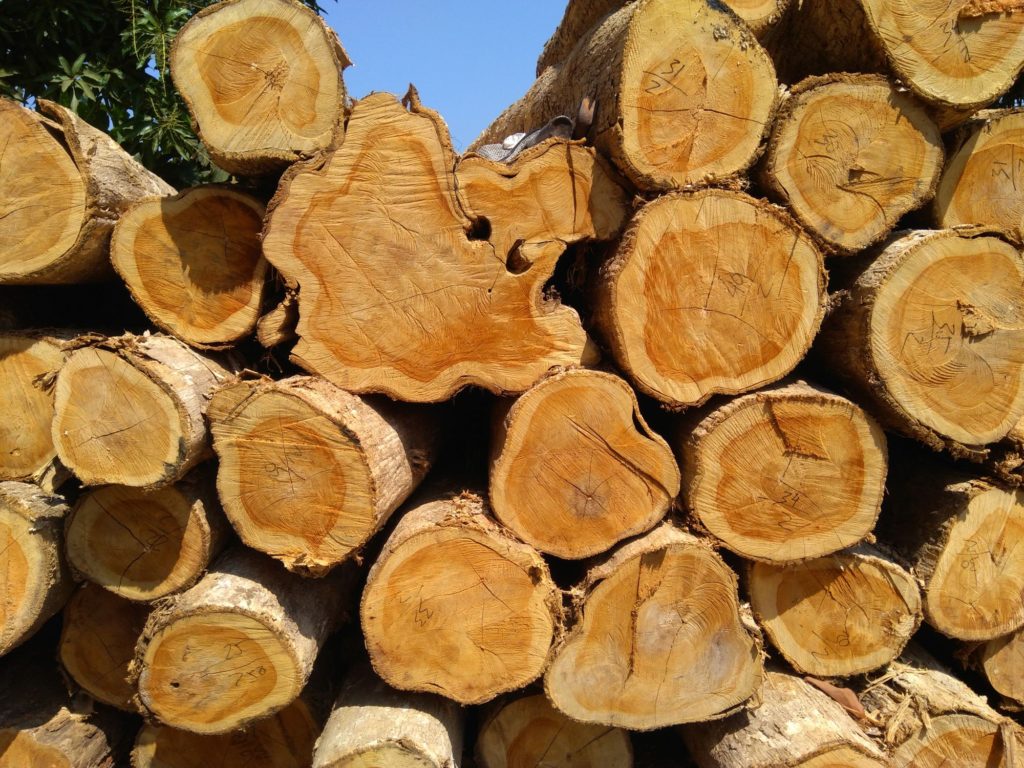 Types Of Wood Teak Trunk