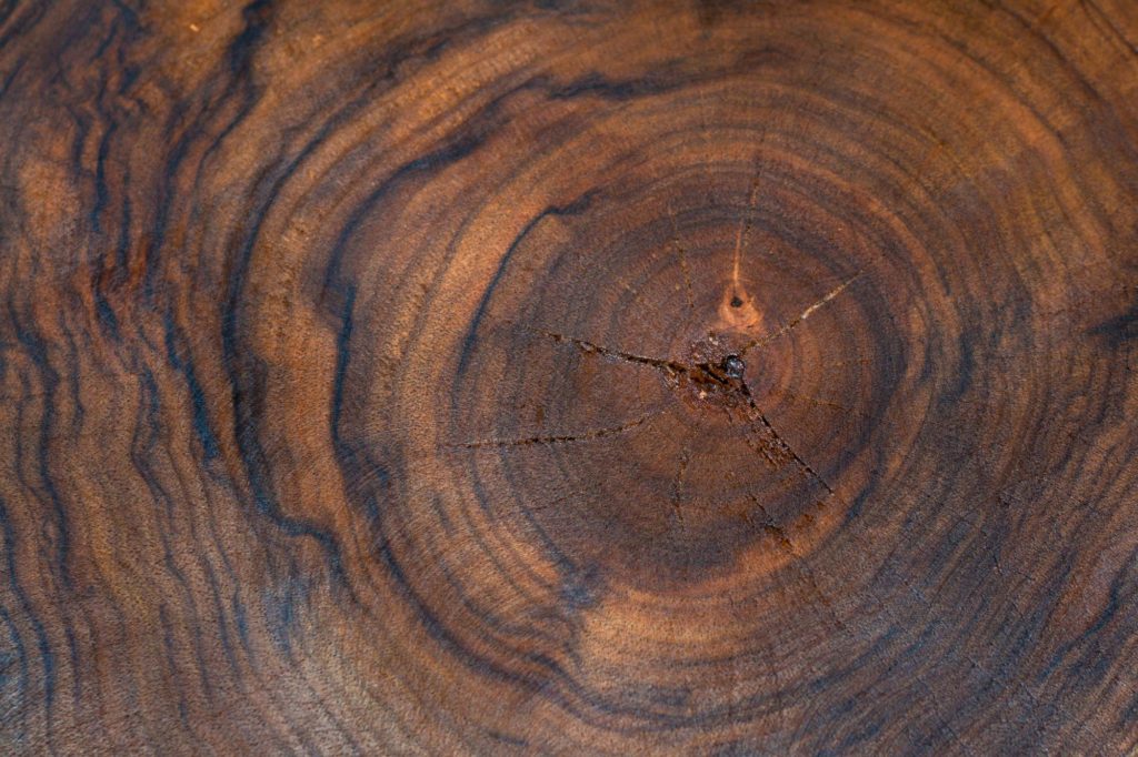 Types Of Wood Walnut Slice