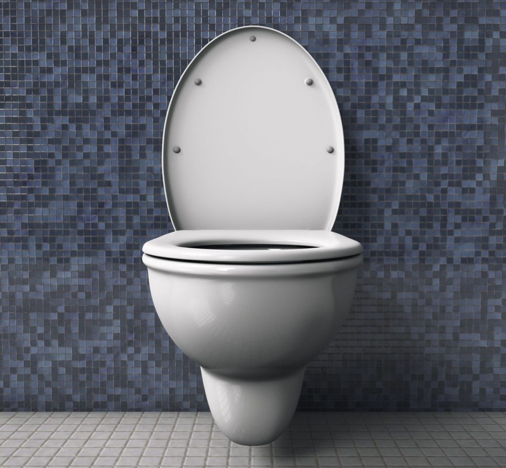 White Toilet Small Blue Tiles