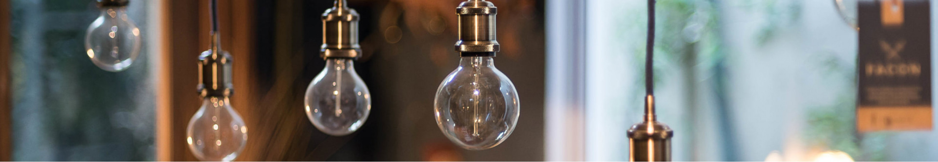 Light Bulbs + Accessories