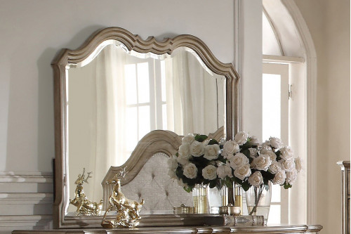 ACME™  - Chelmsford Landscape Mirror in Antique Taupe