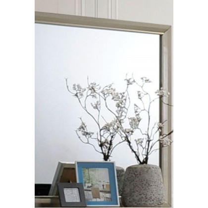 ACME - Carine Mirror
