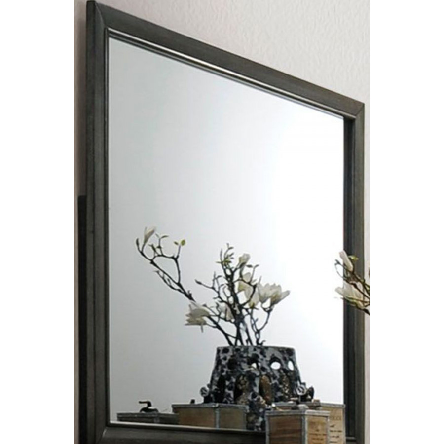 ACME - Carine Mirror
