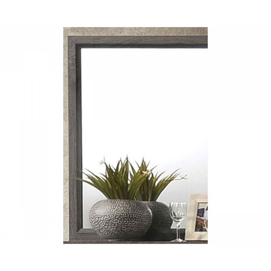 ACME - Valdemar Mirror in Weathered Gray