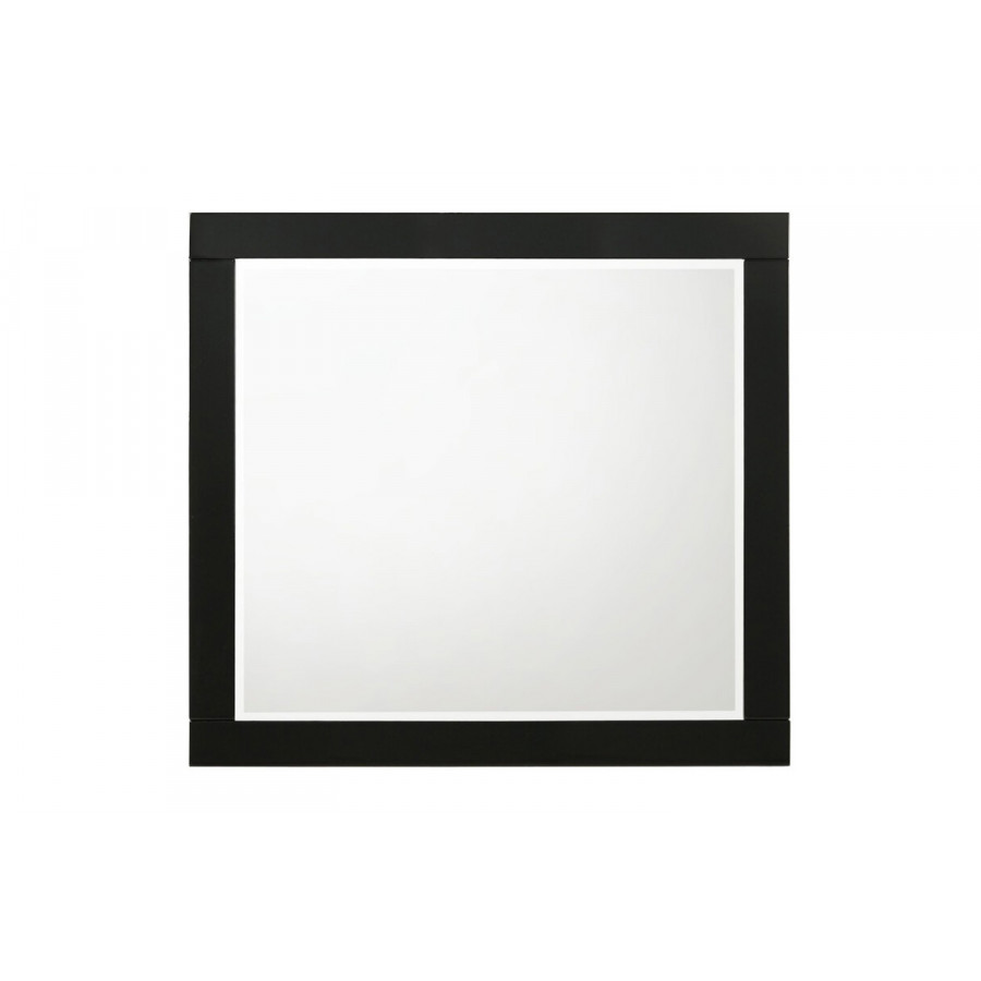 ACME - Chelsie Mirror
