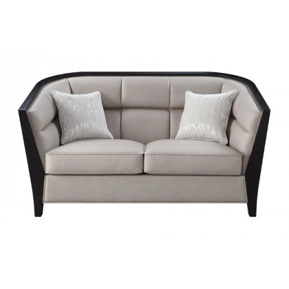 ACME - Zemocryss Loveseat with 2 Pillows in Beige