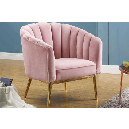 ACME - Colla Accent Chair (qb1236141)