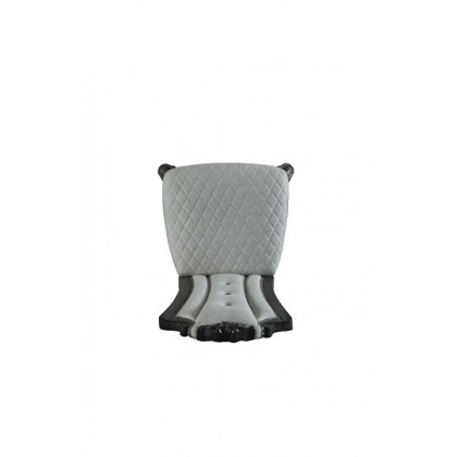 ACME - House Delphine Side Chair (Set of 2) in Two Tone Ivory Beige/Charcoal