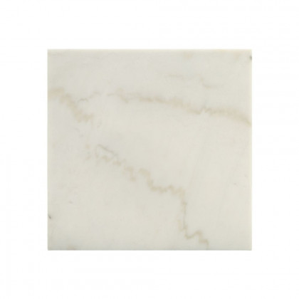 ACME Telestis End Table - White Marble/Black