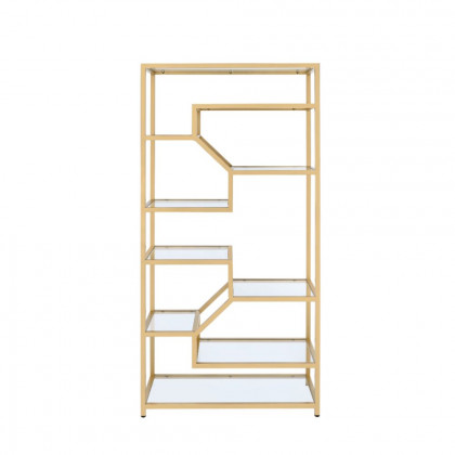 ACME - Lecanga Bookshelf in Clear Glass/Gold