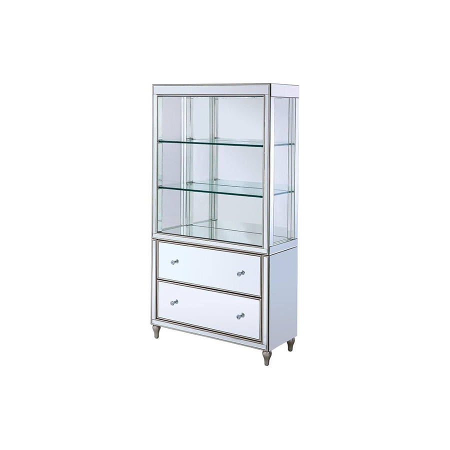 ACME - Dominic Bookcase in Mirrored