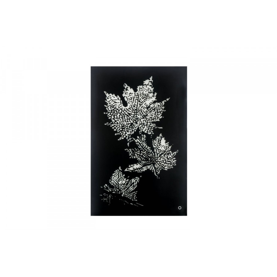 ACME - Talisha Wall Art with Led in Smoky Glass/Faux Crystal (97716)