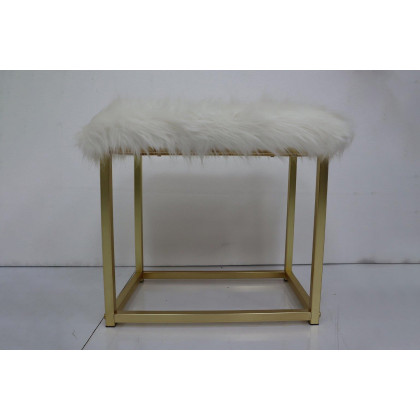 ACME Adao Vanity Mirror and Stool - White and Brass Finish