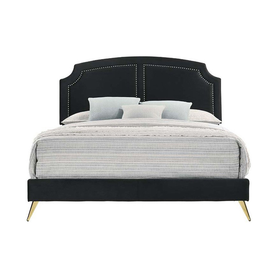 ACME Zeena Queen Bed - Black Velvet