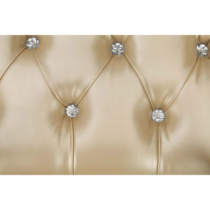 ACME - Danae Bench in Champagne/Gold