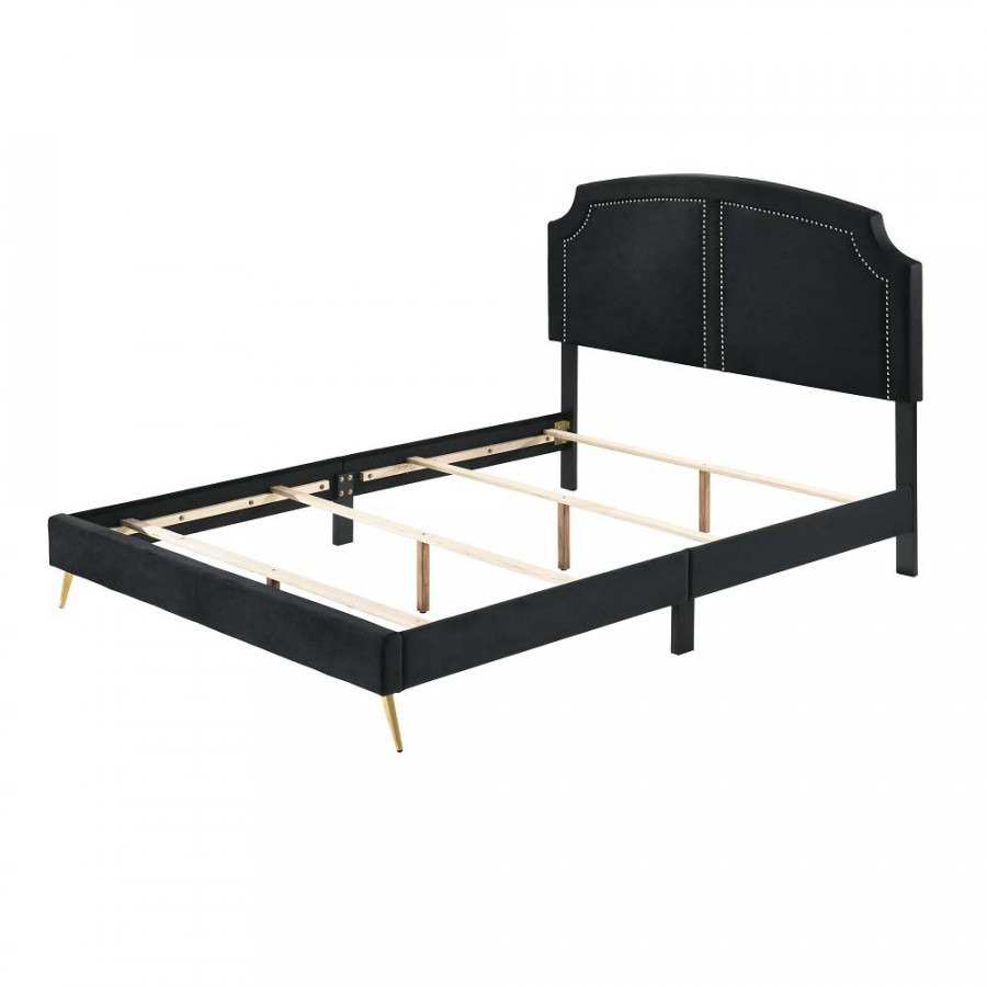 ACME - Zeena Bed