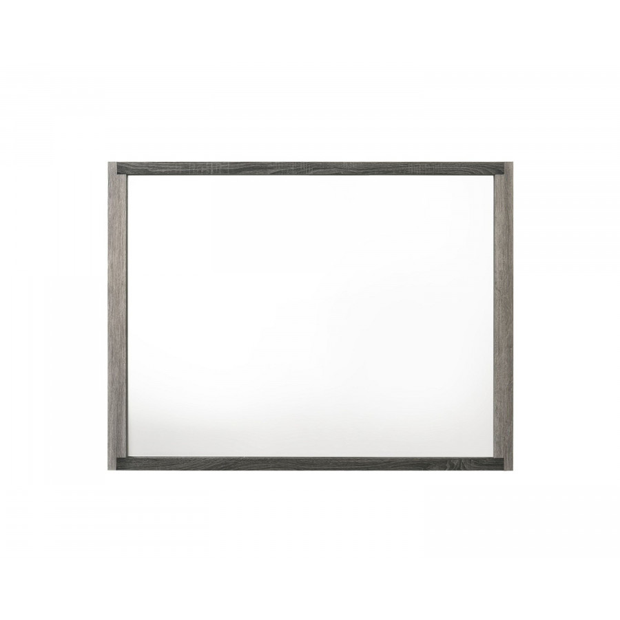 ACME - Casimiro Mirror in Gray