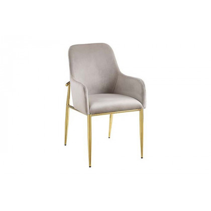 ACME - Barnard Side Chair (Set-2) in Gray/Mirrored Gold